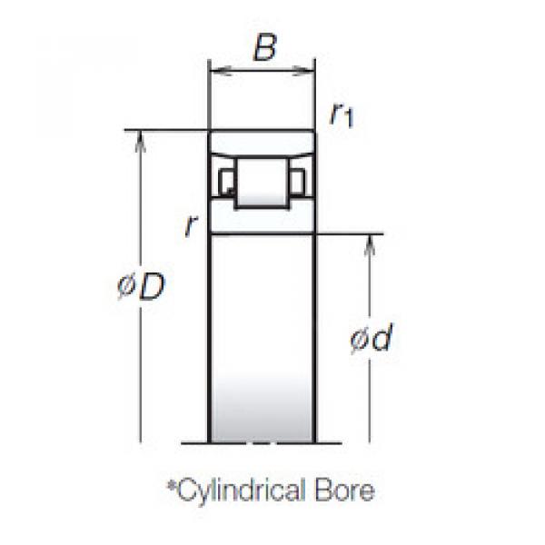 Bantalan N1016BMR1 NSK #1 image