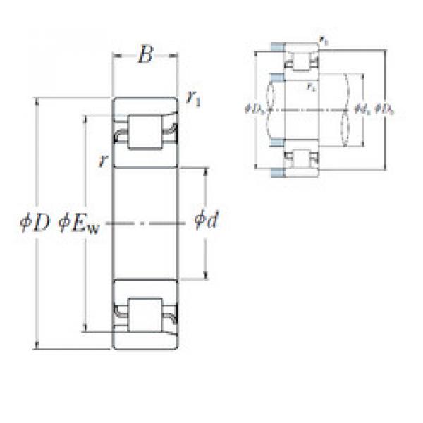 Bantalan NF 217 NSK #1 image