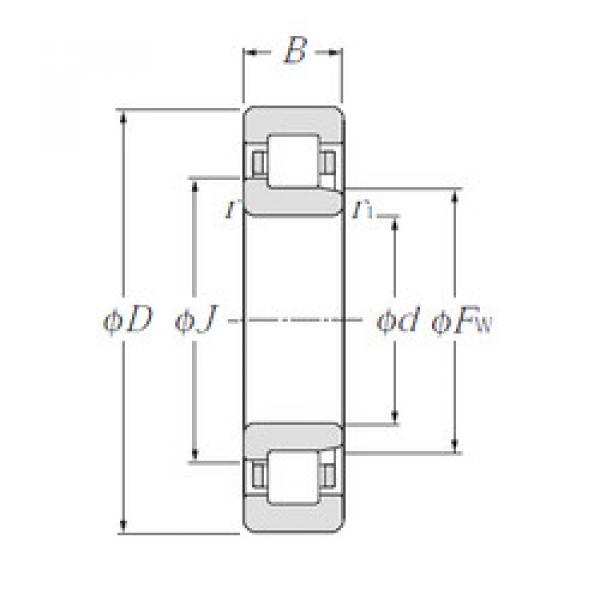 Bantalan NJ204E NTN #1 image