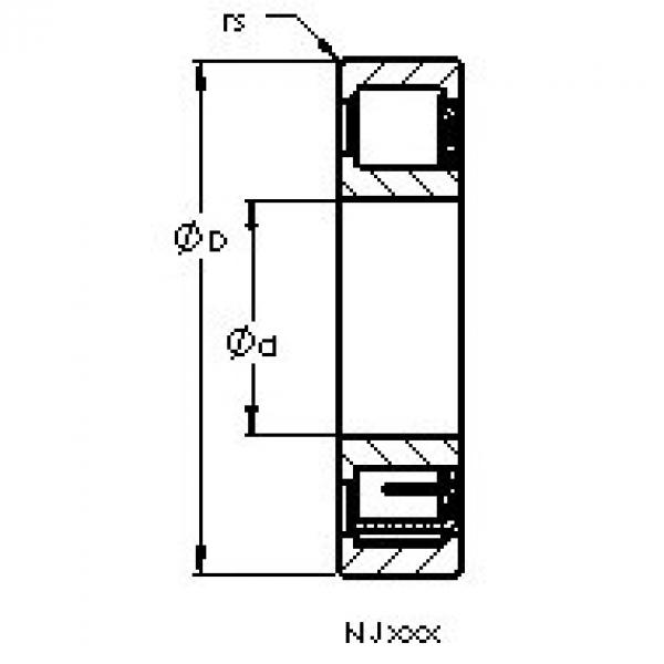 Bantalan NJ202 EM6 AST #1 image