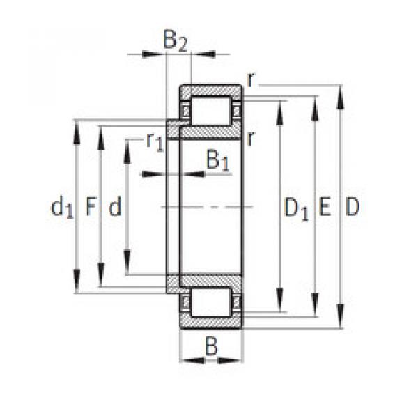 Bantalan NJ248-E-M1+HJ248-E FAG #1 image