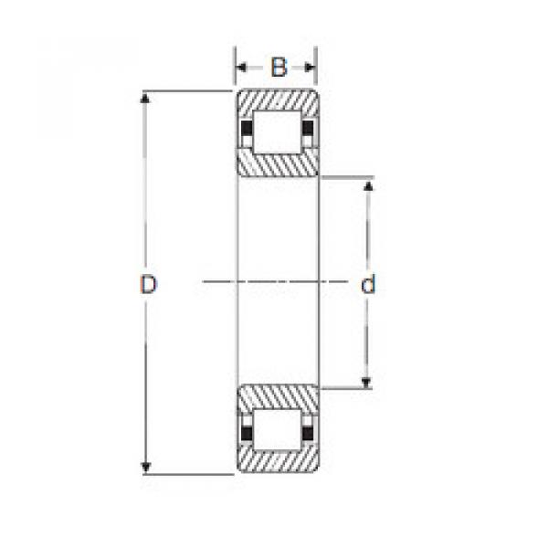 Bantalan NUP 211 SIGMA #1 image