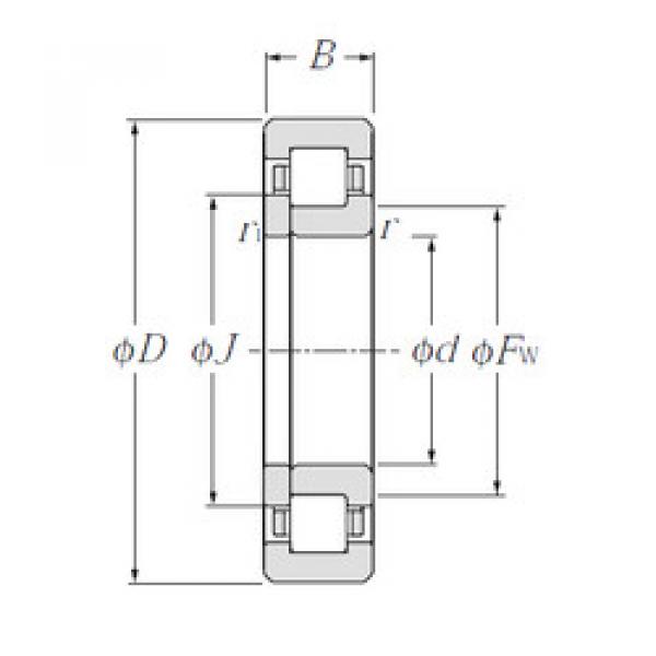 Bantalan NUP204E NTN #1 image