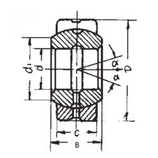 Bantalan GE20ES FBJ #1 image