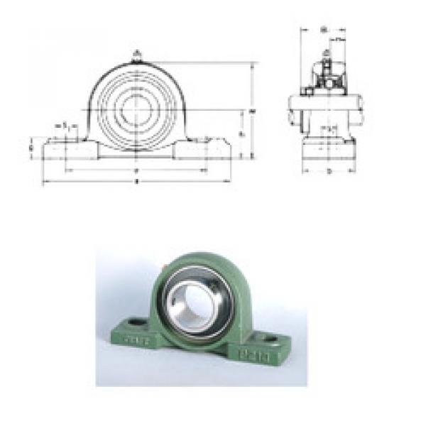 Bantalan UCP203 CRAFT #1 image