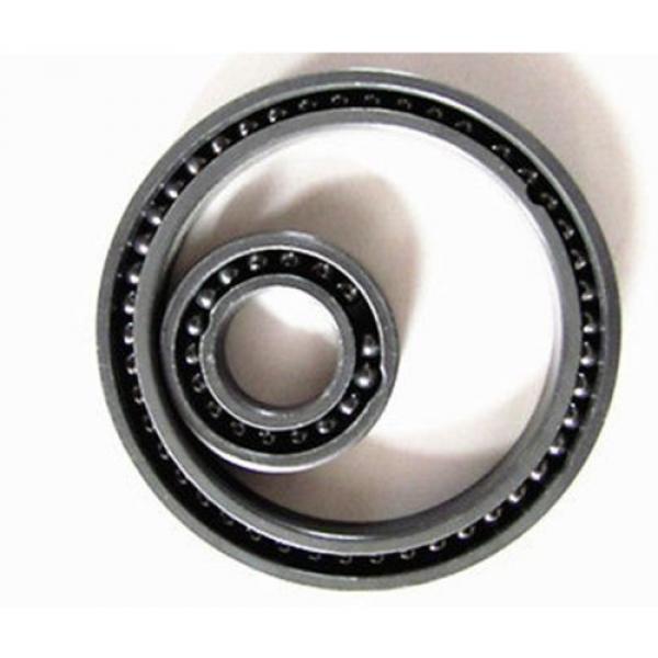 6003 Full Ball Ceramic Bearing SI3N4 Ball Bearing 17x35x10mm Silicon Nitride #2 image